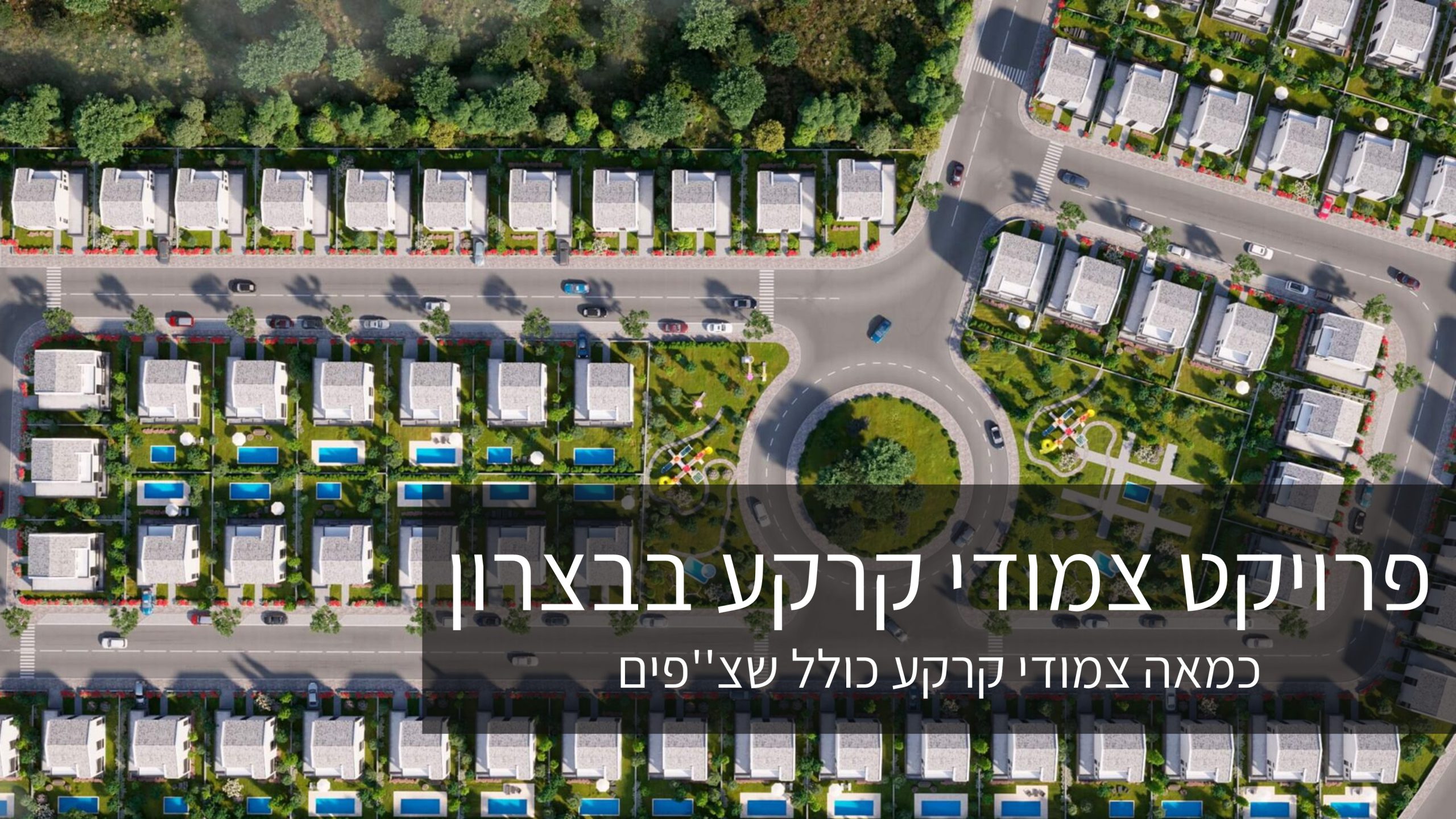שקופית5