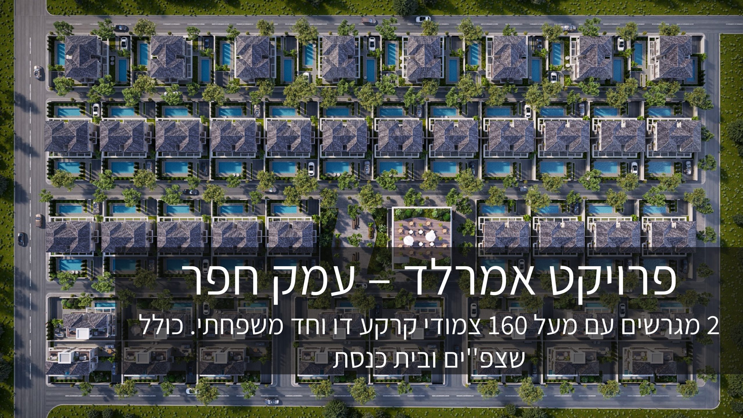 שקופית6